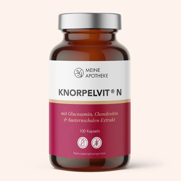Pharmanufactur ApoPure Knorpelvit